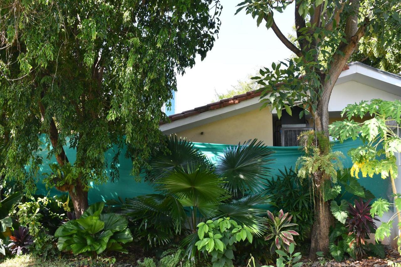 לינה וארוחת בוקר פנמה סיטי Casa Andrea מראה חיצוני תמונה